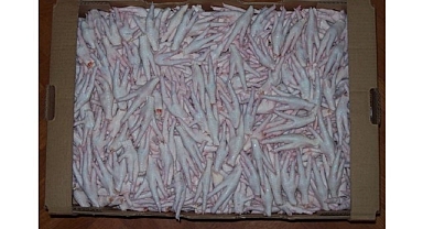 Kanatlı sektörü, Çin’e tavuk ayağı ihracat izninin çıkmasını istiyor