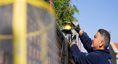 İzmir Büyükşehir Belediyesi’nden karasinekle yoğun mücadele