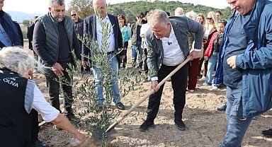 Atatürk’ün Vasiyeti Urla’da Hayata Geçti: Zeytin Koleksiyon Bahçesi’nde İlk Fidan Dikimi