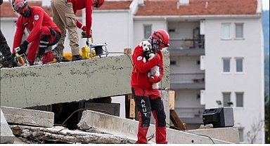 Torbalı’da Hayvan Arama Kurtarma Eğitimi