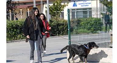 İzmirli hayvansever Çörekçi’nin emanetlerine İzmir Büyükşehir Belediyesi sahip çıktı