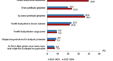Yenilik Araştırması, 2024